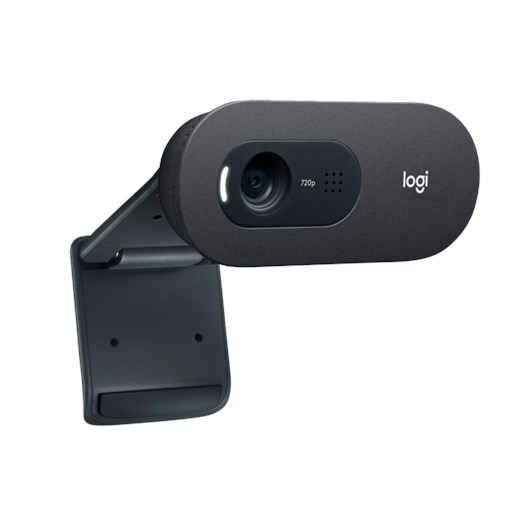 Câmera webcam HD Logitech C505e